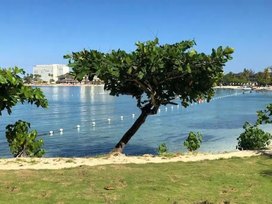 Lovely 2 Bedrooms Apartment Ocho Rios 3*,